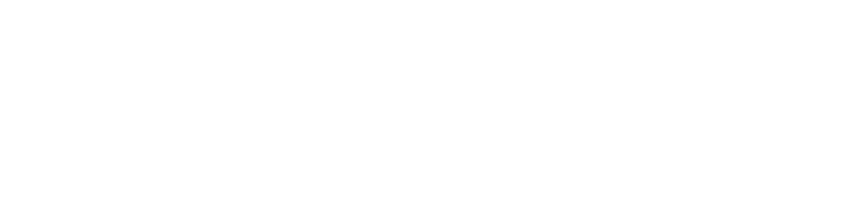 Logo_Striive_RGB_wit (1)